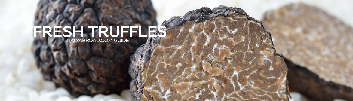 Truffle Banner