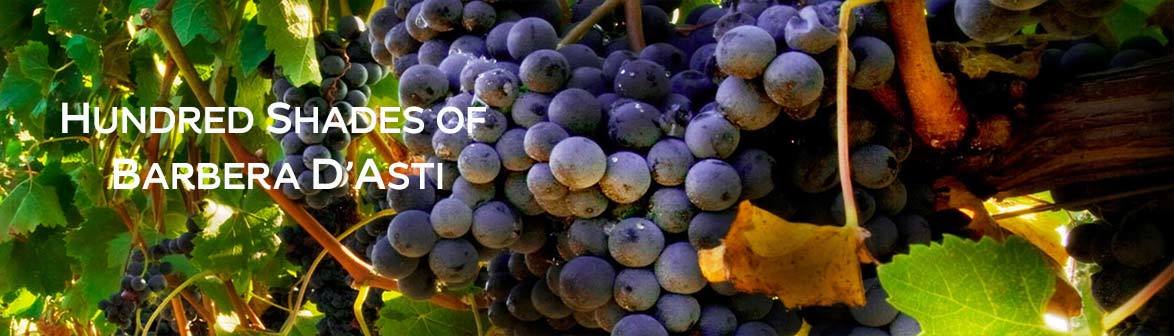 Hundred shades of Barbera d’Asti